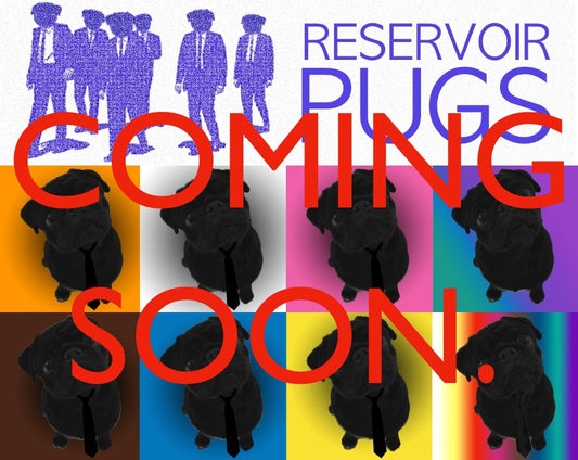 Reservoir Pugs - Hello NFT community!